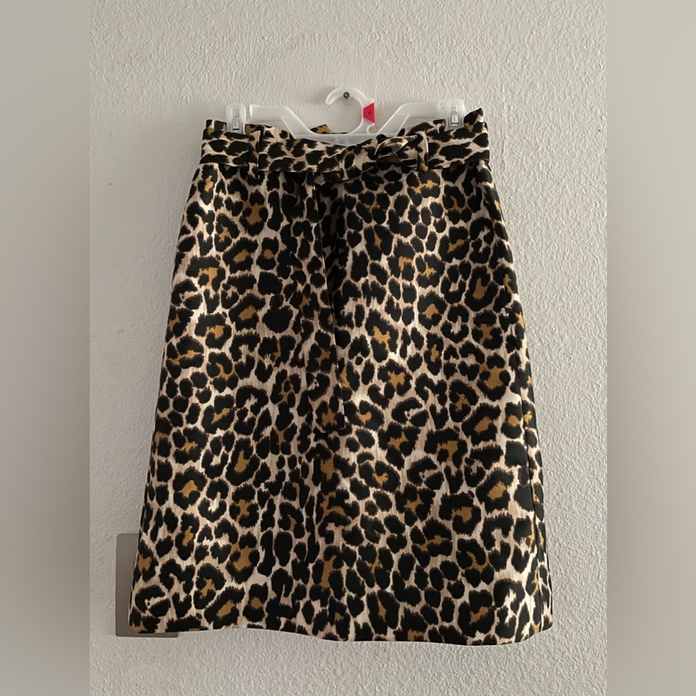 J Crew skirt